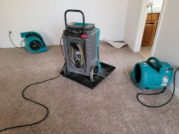 Best Ceiling water damage repair  in River Rouge, MI