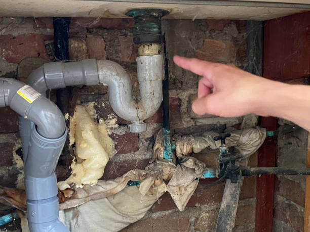 Best Professional water damage repair  in River Rouge, MI