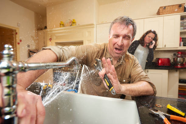 Best Flood damage cleanup  in River Rouge, MI